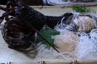 Himakajima Minshuku Kotoei