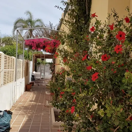 Holiday villa Palomayor