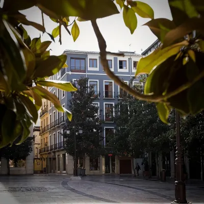Nest Style Granada โรงแรมใกล้ถนนนาวาส