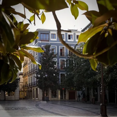 Nest Style Granada