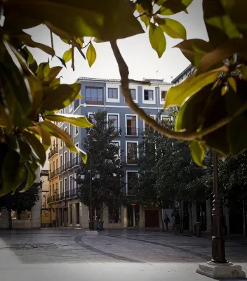 Nest Style Granada