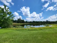 Countryside 3-Bedroom Home with Pond near I57/R148 & Lake of Egypt - 3-Star