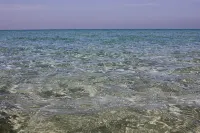 Goodview Kohkood