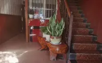 姚安香巴拉中国式旅館 - Wi-Fi