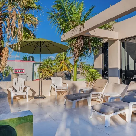 Suite Tropical N11 Downtown