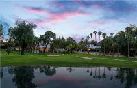 Cheerful 3 Bedroom Home w/ Pool! On Single Level! Downtown Chandler! Rare find!