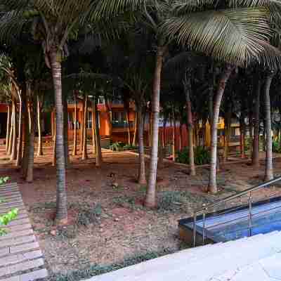 No Fixed Address Hotel Exterior