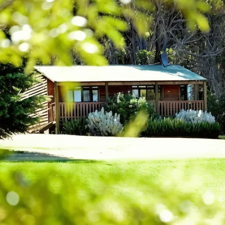 Diamond Forest Farm Stay