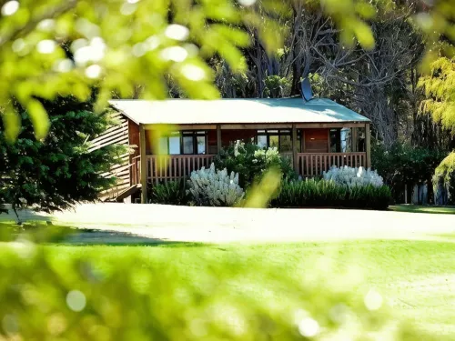 Diamond Forest Farm Stay