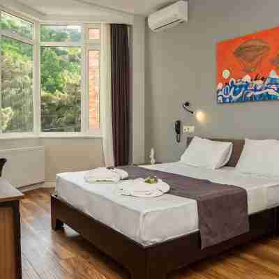 Vista Hotel Rooms