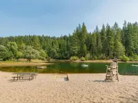 Cozy studio cabin in Arnold California with WiFi, AC Hotels in Arnold