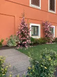 Casa Teresa (Floor 1)
