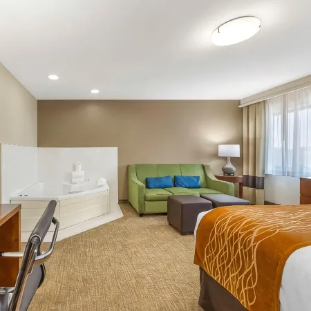 Comfort Inn South - Springfield