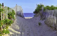 Charming Montauk Getaway centrally located - Apartments