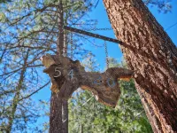 Light filled 3-bedroom cabin with a stone fireplace in magical Idyllwild, CA - Alppimaja