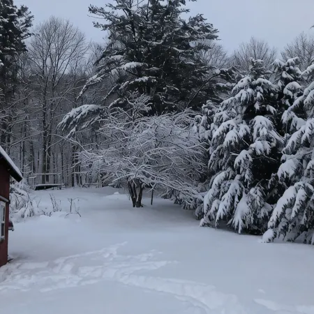 Green Mountain Village Getaway in picturesque Bristol, Vermont. Отели в г. Аддисон