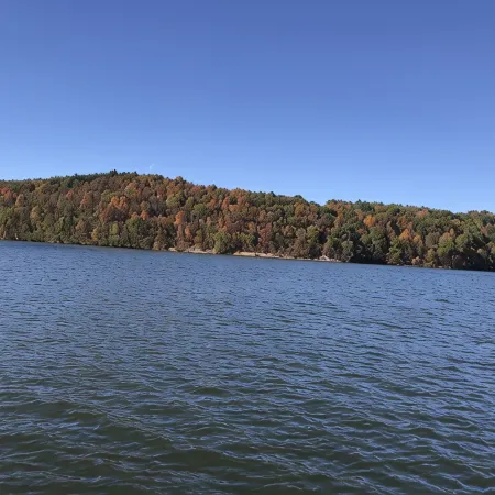 Piedmont Lake Marina Road Cabin Rental