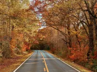 Nature's Cedar Creek Getaway