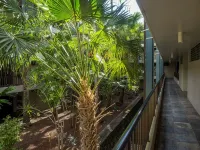 Sunset in Paradise Oceanfront 1Br/1BA Condo at Kona Reef Fast WiFi & Dual AC - Fitnessstudio