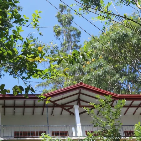 Amado Homestay (Family room)