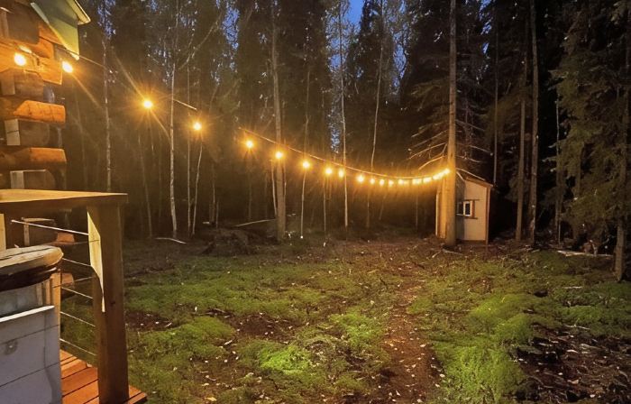 Rustic Cabin at 17.5 Chena Hot Springs Rd.