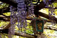 Il Roseto B&B