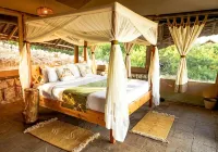 Soroi Cheetah Tented Camp - bar