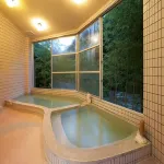 Oogiya Ryokan - Varme kilder