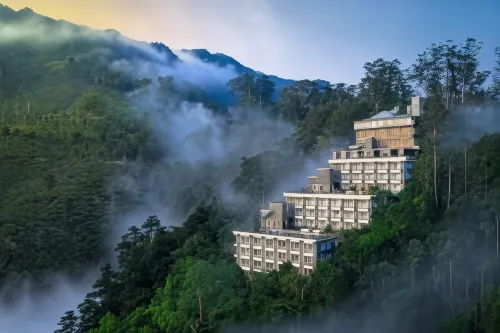 Chandys Windy Woods Munnar