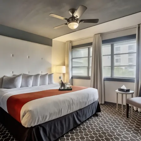 Avalon Hotel Downtown St. Petersburg