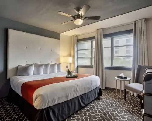 Avalon Hotel Downtown St. Petersburg Hotels near 400 Beach