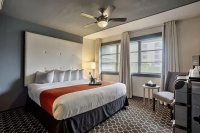 Avalon Hotel Downtown St. Petersburg Hotels near The Dali' Museum