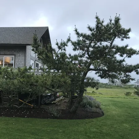 Ultimate relaxation at the beach and conservation land, completely renovated