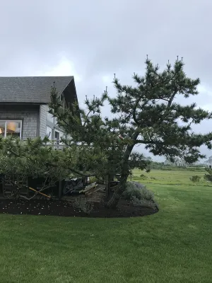 Ultimate relaxation at the beach and conservation land, completely renovated