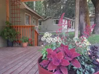 China Creek Cottages - 3-Star