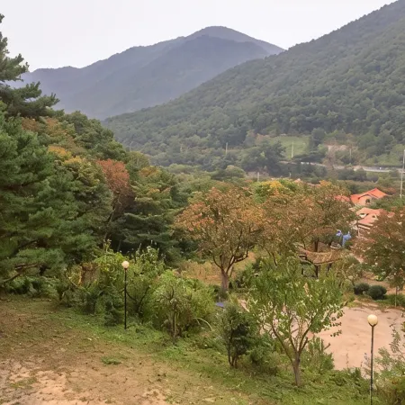 Yangsan Sangol Pension