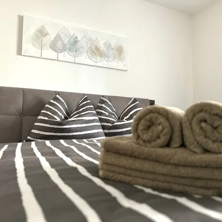 Modern apartment with large balcony. Near city center.