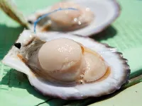Kyukamura Kesennuma-Ohshima - พร้อมอาหารเช้า