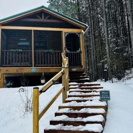 Falcons Nest cabin with AC and WiFi in enchanting Calhoun TN