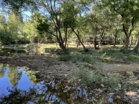 Relax on the Caddo - Chalets