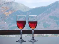 LiVEMAX RESORT HAKONESENGOKUHARA - Dağ Manzaralı