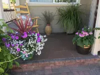 Charming cozy cottage downtown Petaluma - 2 stjerner