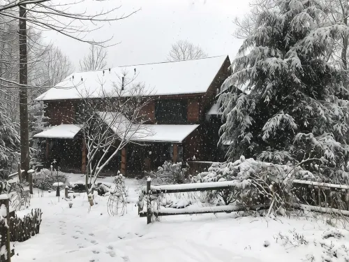 Lazy Bear Lodge - WiFi