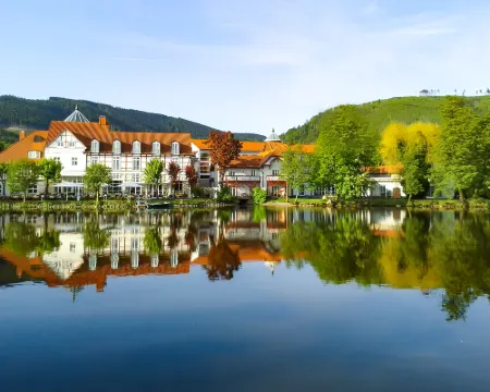 Landhaus Zu Den Rothen Forellen Hotels in Ilsenburg