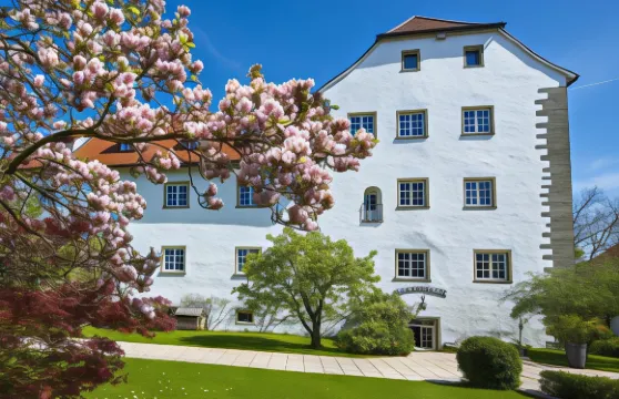 瓦瑟堡城堡酒​​店