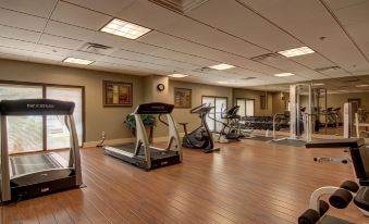 Holiday Inn Express & Suites Alpharetta - Windward Parkway