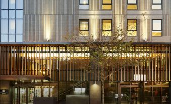Daiwa Roynet Hotel Kumamoto Ginza Dori PREMIER