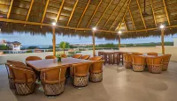 Punto Mita Eco Surf Suites & Café - Homestays
