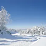 Shiga Kogen Olympic Hotel