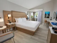 Divi Flamingo Beach Resort Hotels in Kralendijk